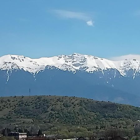 Appartement Le Nid D'Adam à Zărneşti Extérieur photo