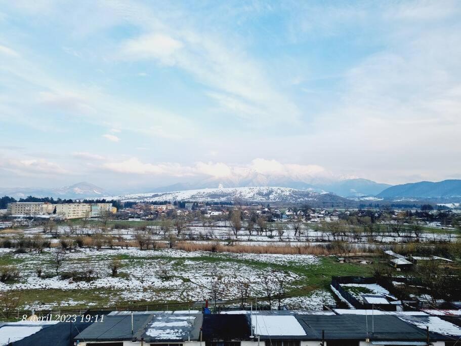 Appartement Le Nid D'Adam à Zărneşti Extérieur photo