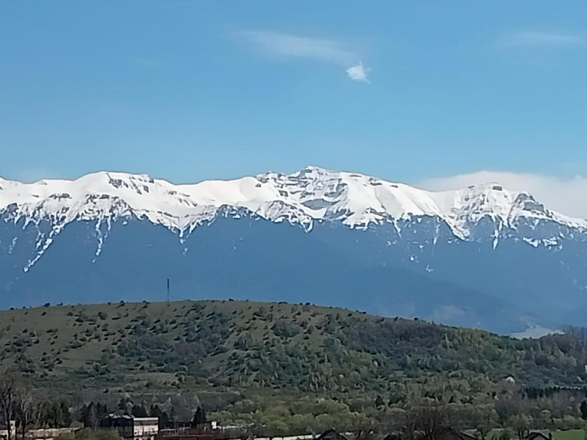 Appartement Le Nid D'Adam à Zărneşti Extérieur photo